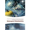 Bioinorganic Photochemistry by Zofia Stasicka
