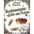 Bloodsucking Lice And Fleas