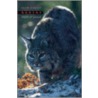 Bobcat:master Of Survival C door Kevin Hansen