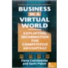 Business In A Virtual World door Gavin Potter