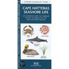 Cape Hatteras Seashore Life door James Kavanaugh