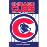 Chicago Cubs Trivia Teasers door Steve Johnson