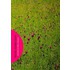 Buiten is het Groen