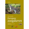 Veldgids Europese zoogdieren door Peter Twisk