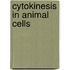 Cytokinesis in Animal Cells