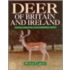 Deer Of Britain And Ireland