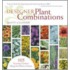 Designer Plant Combinations