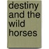Destiny And The Wild Horses