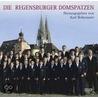 Die Regensburger Domspatzen door Karl Birkenseer