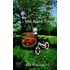 Down And Up The Apple Trees