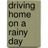 Driving Home on a Rainy Day