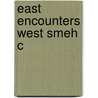 East Encounters West Smeh C by Fatma Muge Gocek