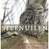 Steenuilen
