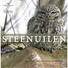 Steenuilen