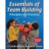 Essentials of Team Building door Donald R. Glover