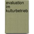 Evaluation im Kulturbetrieb