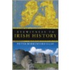 Eyewitness To Irish History door Peter Berresford Ellis