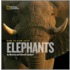 Face to Face with Elephants