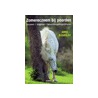 Zomereczeem bij paarden