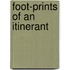 Foot-Prints Of An Itinerant