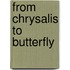 From Chrysalis To Butterfly