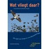 Wat vliegt daar?