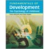 Fundamentals Of Development