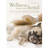 Wellness voor uw hond