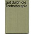 Gut durch die Krebstherapie