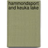 Hammondsport and Keuka Lake by Charles R. Mitchell