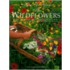 How to Grow the Wildflowers