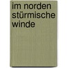 Im Norden stürmische Winde door Wolfgang Röhl