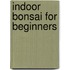 Indoor Bonsai for Beginners