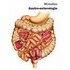 Miniatlas gastro-enterologie