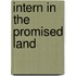 Intern In The Promised Land