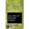 Jess Bits Of Wayside Gospel door Jenkin Lloyd Jones
