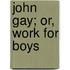John Gay; Or, Work For Boys