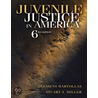 Juvenile Justice In America door Stuart Miller
