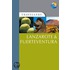 Lanzarote And Fuerteventura