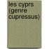 Les Cyprs (Genre Cupressus)