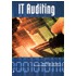 IT Auditing