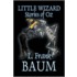 Little Wizard Stories Of Oz
