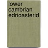 Lower Cambrian Edrioasterid by Charles Schuchert