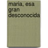 Maria, Esa Gran Desconocida door Juan Arias