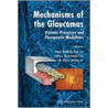 Mechanisms Of The Glaucomas door Onbekend