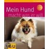 Mein Hund macht was er will