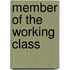 Member Of The Working Class