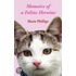 Memoirs Of A Feline Heroine