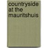 Countryside at the Mauritshuis