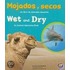 Mojados y Secos/Wet and Dry